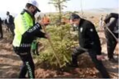 Eskişehir?de 88 bin fidan toprakla buluştu Eskişehir?de 88 bin fidan toprakla buluştu