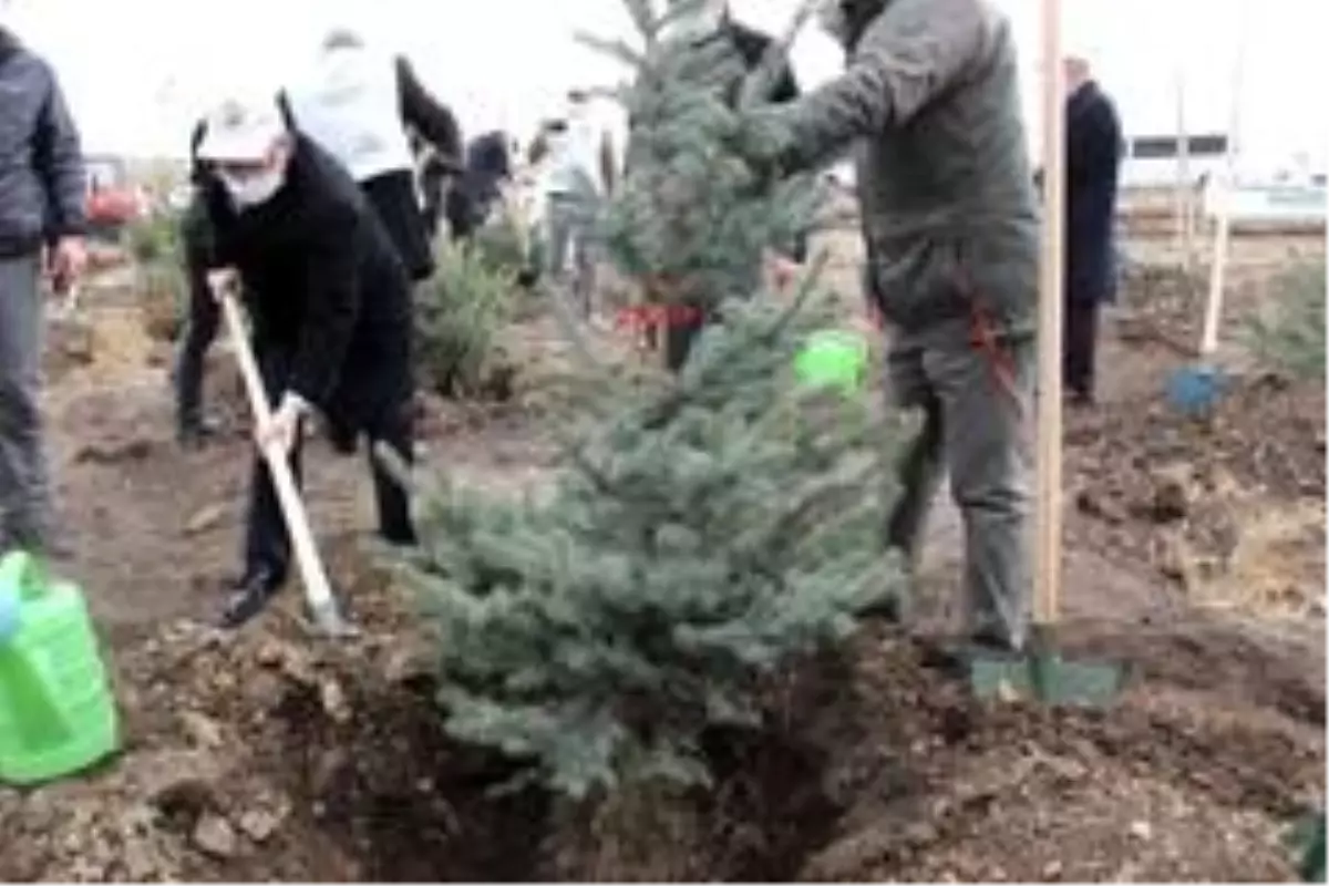 Fidanlar toprakla buluştu
