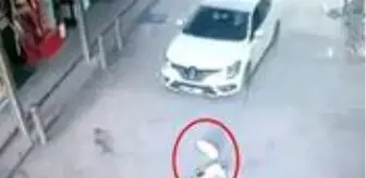 Sosyal Medya: Gözü dönmüş cani, otomobiliyle köpeklerin üzerinden geçti! O anlar kamerada Sosyal Medya: Gözü dönmüş cani, otomobiliyle köpeklerin üzerinden geçti! O anlar kamerada