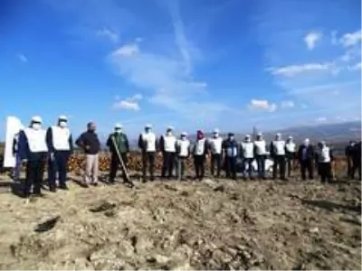 Hisarcık'ta yanan orman alanı ağaçlandırılıyor Hisarcık'ta yanan orman alanı ağaçlandırılıyor
