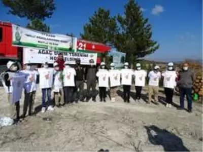 Hisarcık'ta yanan orman alanı ağaçlandırılıyor Hisarcık'ta yanan orman alanı ağaçlandırılıyor