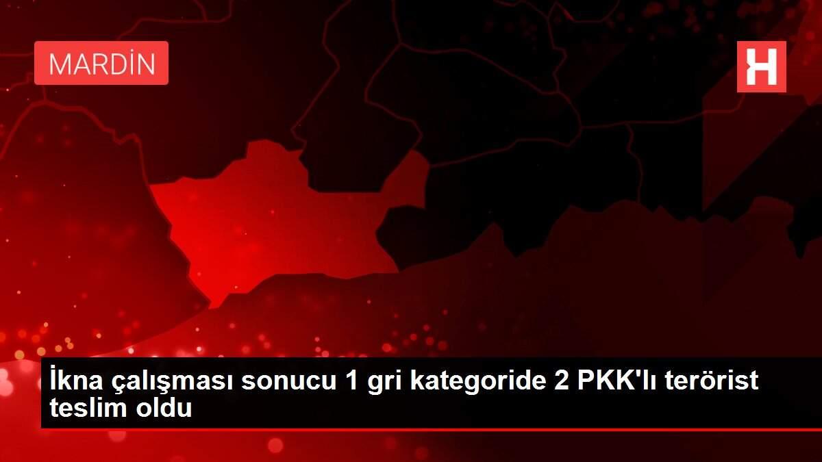 İkna çalışması sonucu 1 gri kategoride 2 PKK'lı terörist teslim oldu İkna çalışması sonucu 1 gri kategoride 2 PKK'lı terörist teslim oldu