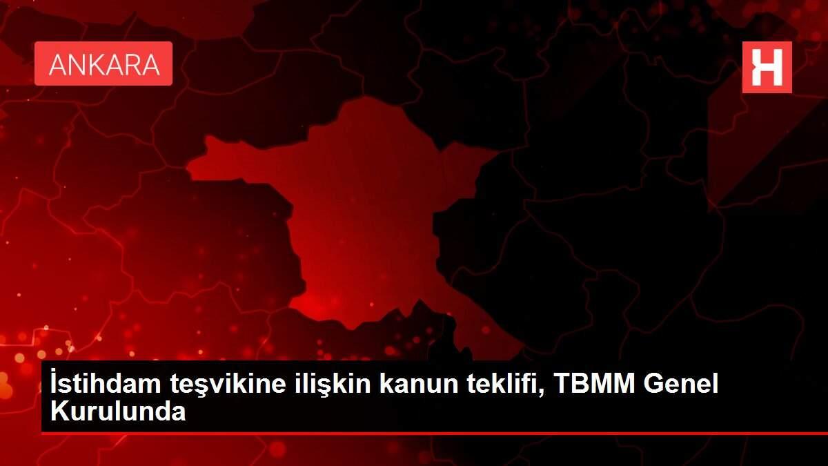 İstihdam teşvikine ilişkin kanun teklifi, TBMM Genel Kurulunda