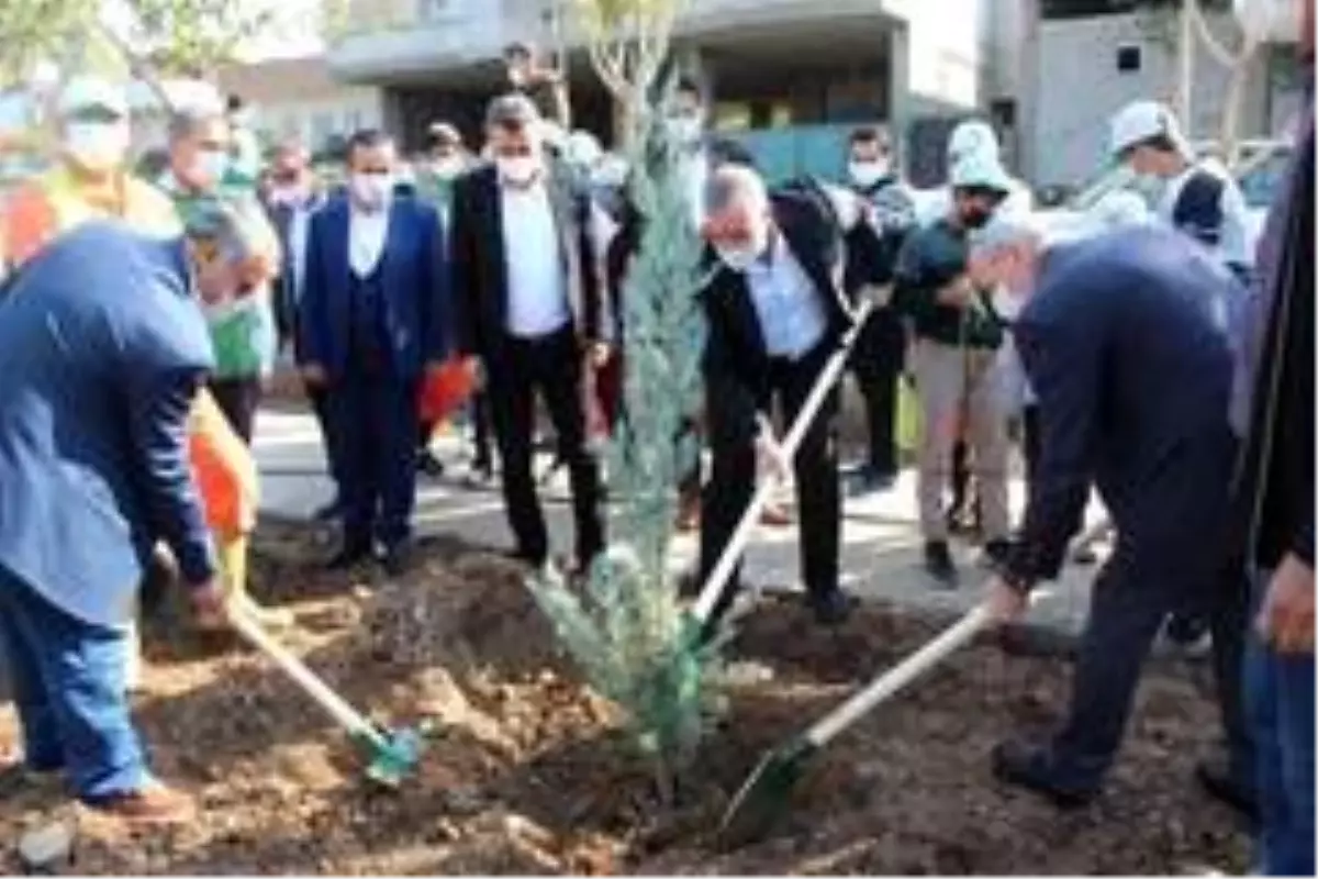 Kahta belediyesinden ağaç dikme etkinliği