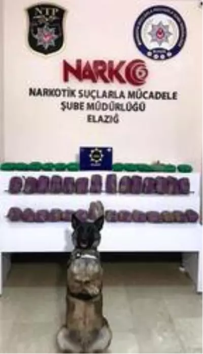 Kamyondaki 41 kilo eroini 'Lina' buldu Kamyondaki 41 kilo eroini 'Lina' buldu