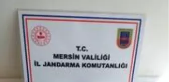 Karni Acikan Bir Kedi Girdigi Firinin Pogaca Tezgahinda Yakalandi Istanbul
