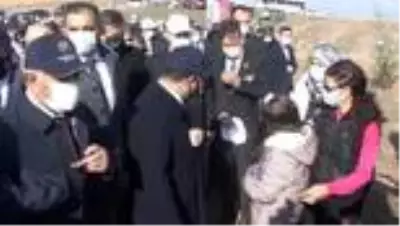Milli Ağaçlandırma Günü Milli Ağaçlandırma Günü