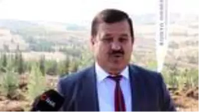 Milli Ağaçlandırma Günü Milli Ağaçlandırma Günü
