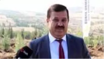 Milli Ağaçlandırma Günü Milli Ağaçlandırma Günü