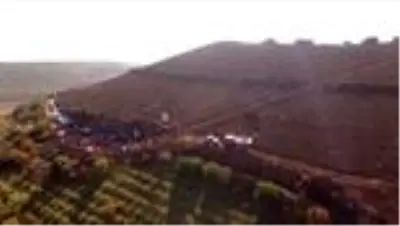 'Milli Ağaçlandırma Günü'nde 30 bin fidan toprakla buluştu 'Milli Ağaçlandırma Günü'nde 30 bin fidan toprakla buluştu