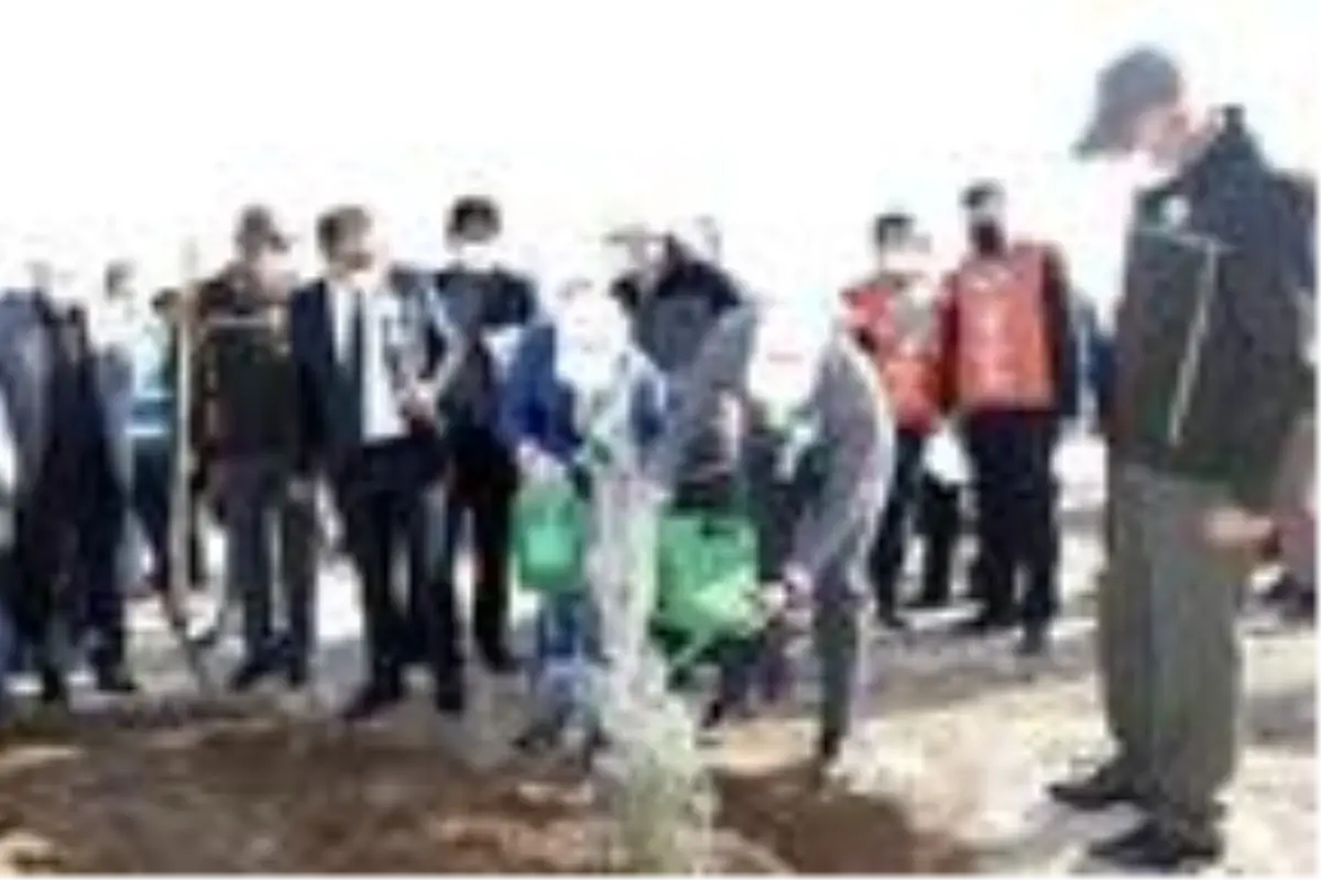 'Milli Ağaçlandırma Günü'nde Mardin'de 13 bin fidan toprakla buluşturuldu