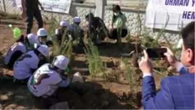 Son dakika: Nazilli'de Fidanlar Çocuklarla Birlikte Büyüyecek Son dakika: Nazilli'de Fidanlar Çocuklarla Birlikte Büyüyecek