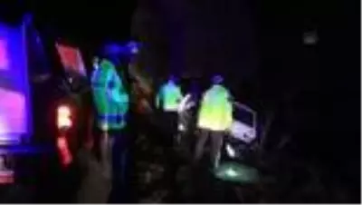 Son dakika haberleri | Otomobil ağaca çarptı: 1 ölü Son dakika haberleri | Otomobil ağaca çarptı: 1 ölü