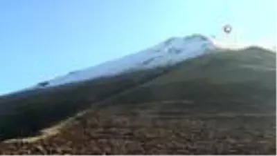Palandöken Kayak Merkezi ağaçlandırılıyor Palandöken Kayak Merkezi ağaçlandırılıyor