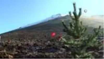 Palandöken Kayak Merkezi ağaçlandırılıyor Palandöken Kayak Merkezi ağaçlandırılıyor