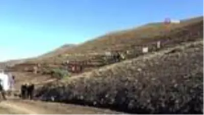 Palandöken Kayak Merkezi ağaçlandırılıyor Palandöken Kayak Merkezi ağaçlandırılıyor