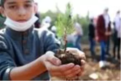 Reyhanlı Eğitim Köyü'nde kalan Suriyeli yetim çocuklar Hatay'a nefes olmak için fidan dikti Reyhanlı Eğitim Köyü'nde kalan Suriyeli yetim çocuklar Hatay'a nefes olmak için fidan dikti