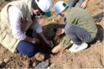 Reyhanlı Eğitim Köyü'nde kalan Suriyeli yetim çocuklar Hatay'a nefes olmak için fidan dikti Reyhanlı Eğitim Köyü'nde kalan Suriyeli yetim çocuklar Hatay'a nefes olmak için fidan dikti