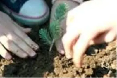 Reyhanlı Eğitim Köyü'nde kalan Suriyeli yetim çocuklar Hatay'a nefes olmak için fidan dikti Reyhanlı Eğitim Köyü'nde kalan Suriyeli yetim çocuklar Hatay'a nefes olmak için fidan dikti