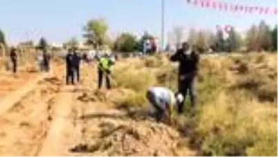 Roketlerin düştüğü topraklar fidanla buluştu Roketlerin düştüğü topraklar fidanla buluştu