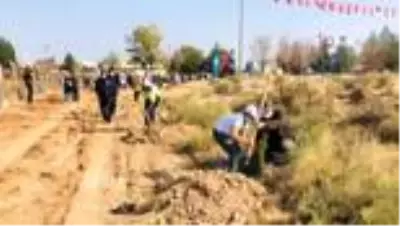 Roketlerin düştüğü topraklar fidanla buluştu Roketlerin düştüğü topraklar fidanla buluştu
