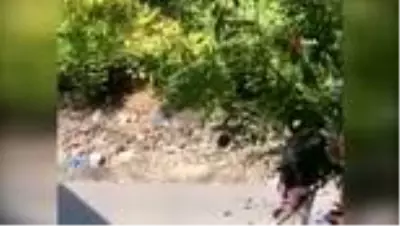Son dakika... Saimbeyli'de köpeğe işkence görüntülerinde 1 gözaltı Son dakika... Saimbeyli'de köpeğe işkence görüntülerinde 1 gözaltı