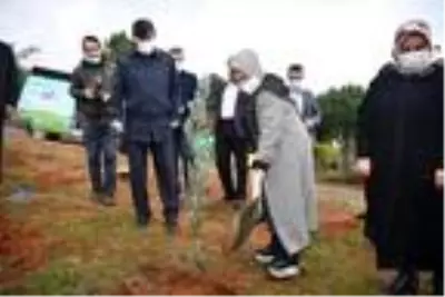 Sancaktepe?de fidanlar toprakla buluştu Sancaktepe?de fidanlar toprakla buluştu