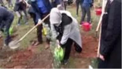 Sancaktepeli öğrenciler toprağa fidan dikerek geleceğe nefes oldu Sancaktepeli öğrenciler toprağa fidan dikerek geleceğe nefes oldu