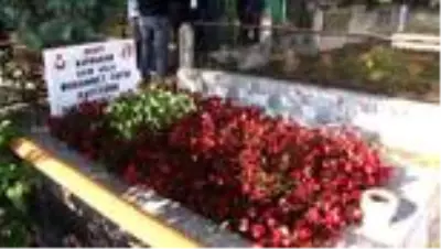 Sehit Kaymakam Safiturk Mezari Basinda Anildi Sakarya