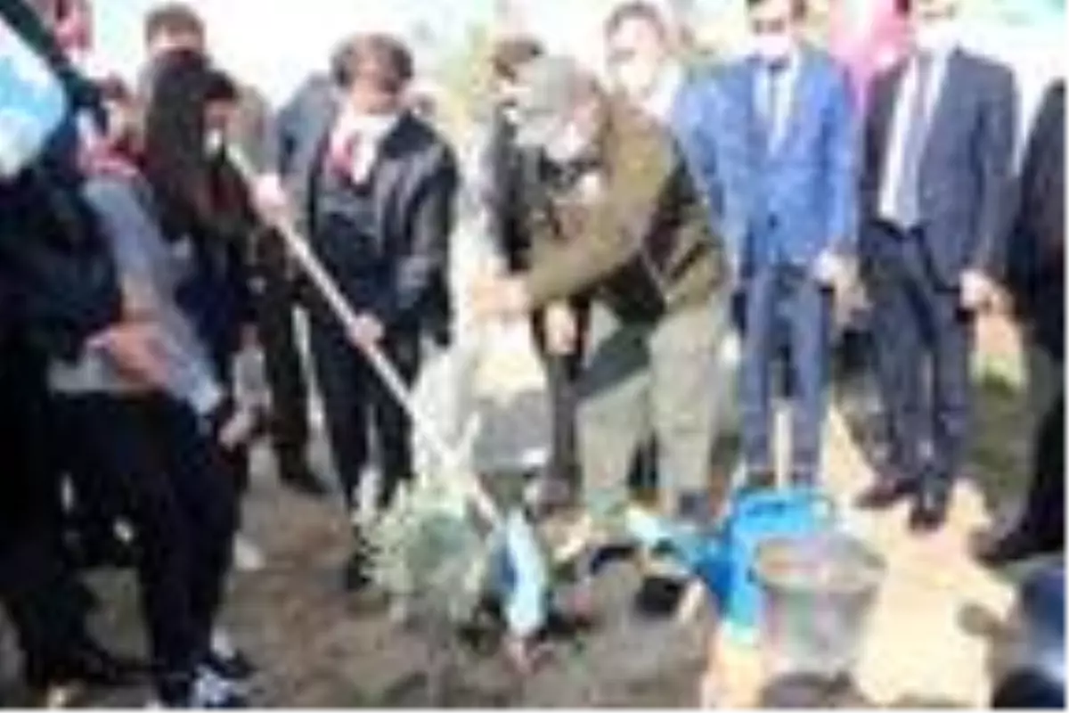 Son dakika haberleri: Şırnak'ta 'Geleceğe Nefes' için 68 bin fidan dikildi