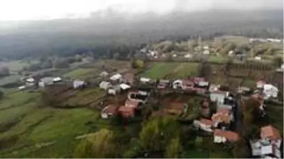 Yaylalardaki kontrolsüz yapılaşma doğal hayatı tehdit ediyor Yaylalardaki kontrolsüz yapılaşma doğal hayatı tehdit ediyor