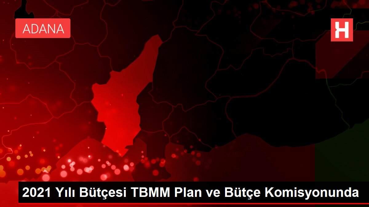 2021 Yılı Bütçesi TBMM Plan ve Bütçe Komisyonunda 2021 Yılı Bütçesi TBMM Plan ve Bütçe Komisyonunda