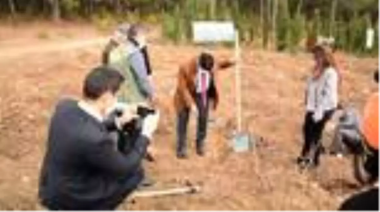 7 bin 200 fidan toprakla buluştu