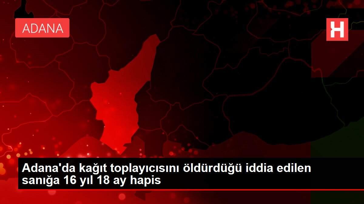 Adana'da kağıt toplayıcısını öldürdüğü iddia edilen sanığa 16 yıl 18 ay hapis