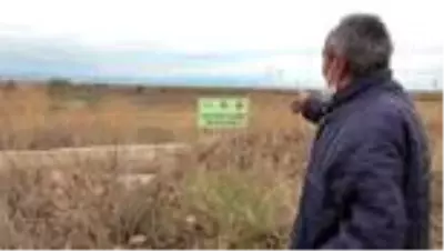 Beyşehir Gölü'nde sular çekildi, kıyılarda sazlıklar oluştu