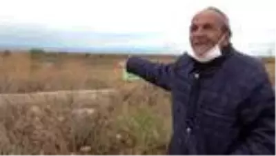 Beyşehir Gölü'nde sular çekildi, kıyılarda sazlıklar oluştu