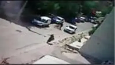 Bisiklet sürerken köpeklerin saldırısına uğrayan genç otomobille çarpıştı.. O anlar kamerada Bisiklet sürerken köpeklerin saldırısına uğrayan genç otomobille çarpıştı.. O anlar kamerada