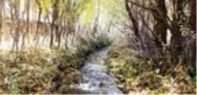 Bitlis, sonbaharda farklı renklere büründü Bitlis, sonbaharda farklı renklere büründü