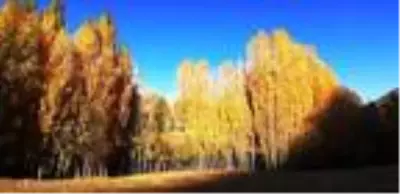 Bitlis, sonbaharda farklı renklere büründü Bitlis, sonbaharda farklı renklere büründü