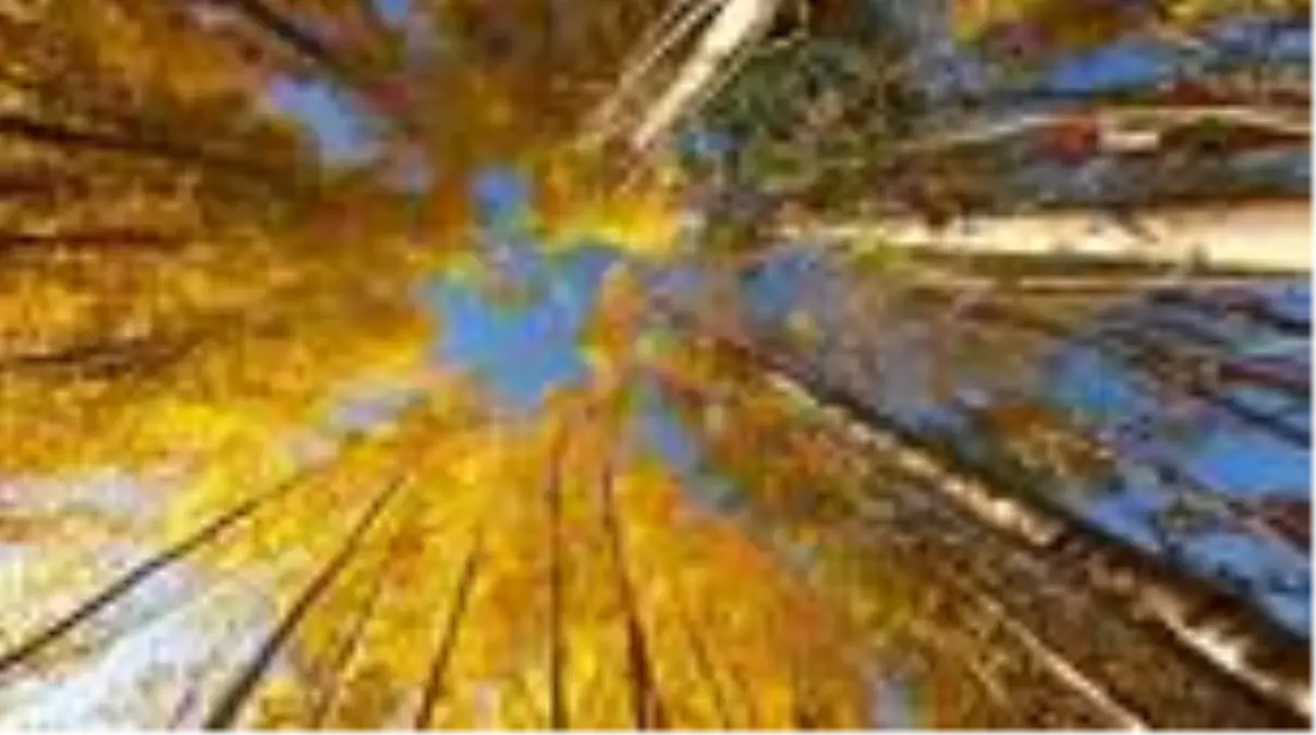 Bitlis'te sonbahar güzelliği