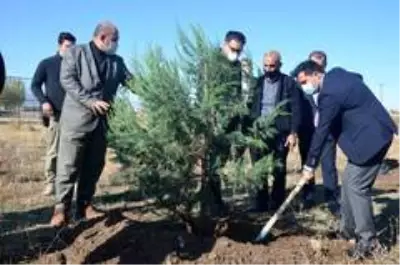 Bulanık'ta fidan dikimi Bulanık'ta fidan dikimi