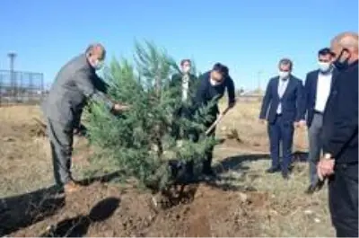 Bulanık'ta fidan dikimi Bulanık'ta fidan dikimi