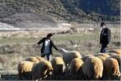 Devlet desteği hayatını değiştirdi, köy kadınlarına örnek oldu