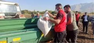Kahramanmaraş'ta ata tohumu Kahramanmaraş'ta ata tohumu