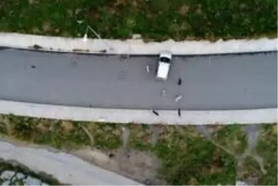 Emekli Bahri Amca, sokak hayvanlarına gözü gibi bakıyor Emekli Bahri Amca, sokak hayvanlarına gözü gibi bakıyor
