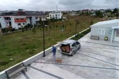 Emekli Bahri Amca, sokak hayvanlarına gözü gibi bakıyor Emekli Bahri Amca, sokak hayvanlarına gözü gibi bakıyor