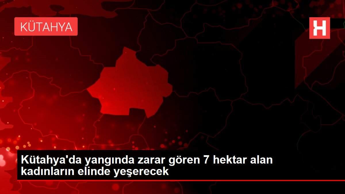 Son dakika haber... Kütahya'da yangında zarar gören 7 hektar alan kadınların elinde yeşerecek