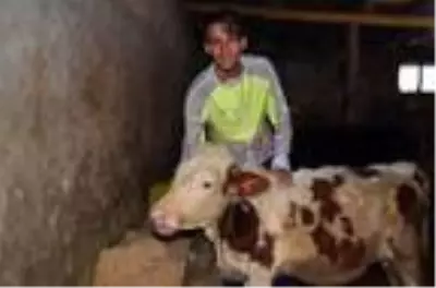 Milli atlet, Avrupa şampiyonasına evinin yakınındaki arazide hazırlanıyor Milli atlet, Avrupa şampiyonasına evinin yakınındaki arazide hazırlanıyor