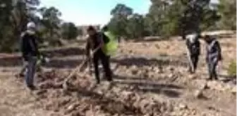 Karakurt: Son dakika haberi: Polis ve vatandaş el ele yaban hayatı için meyve tohumu ekti Karakurt: Son dakika haberi: Polis ve vatandaş el ele yaban hayatı için meyve tohumu ekti