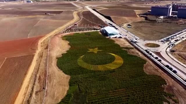 Rekorlar arasına giren bitkili Türkiye haritası uçaklardan da görülebilecek